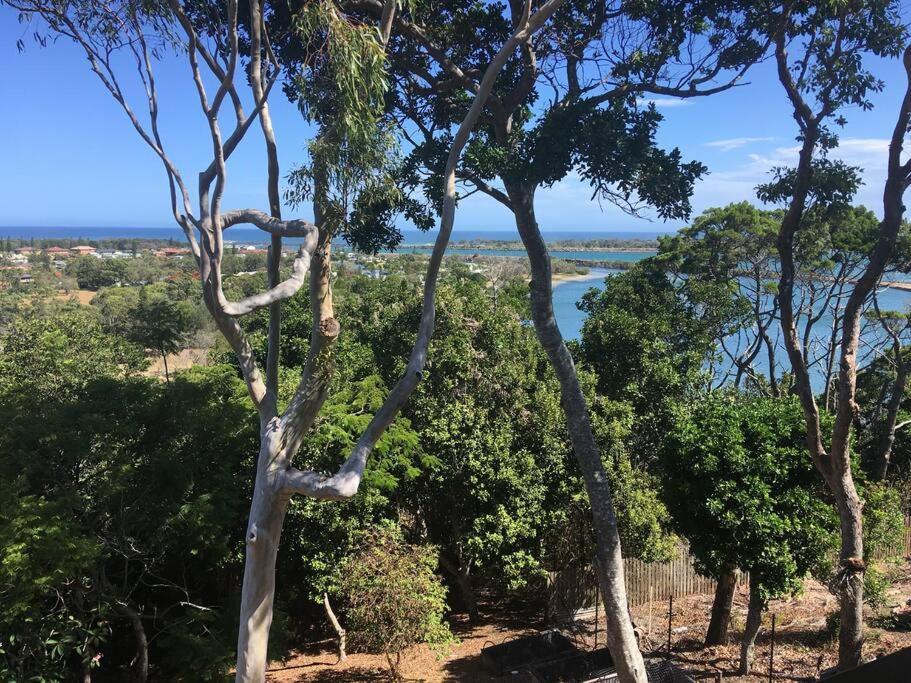 Driftwood- Hidden Gem, Great View In A Nature Setting Apartment *