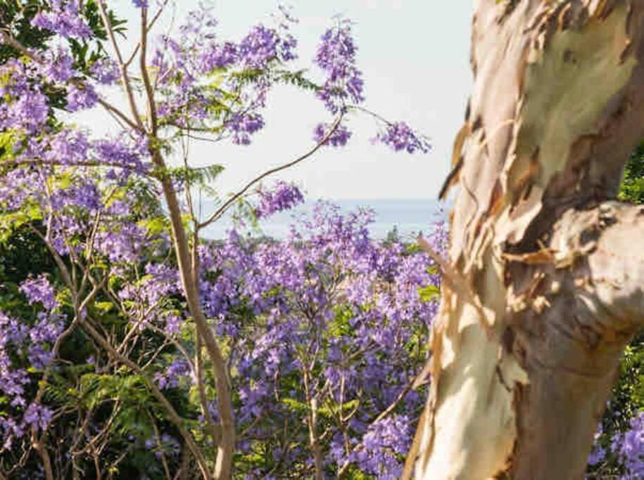 Driftwood- Hidden Gem, Great View In A Nature Setting * East Ballina