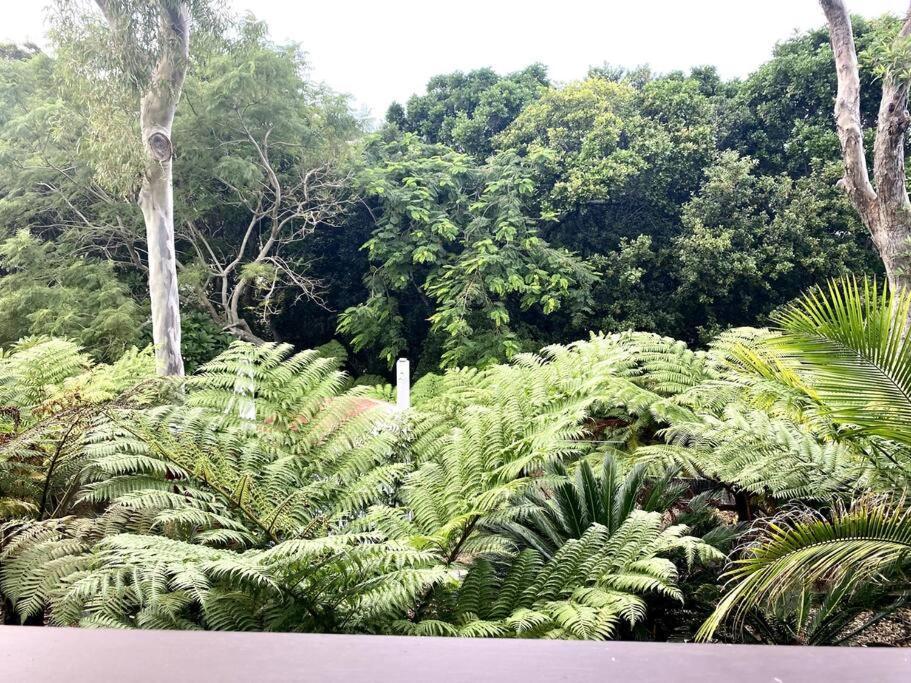 Apartment Driftwood- Hidden Gem, Great View In A Nature Setting East Ballina