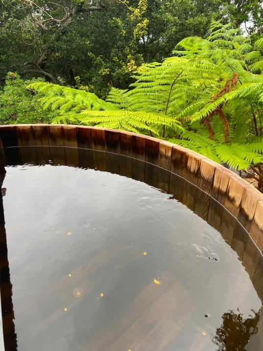 Driftwood- Hidden Gem, Great View In A Nature Setting East Ballina